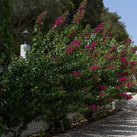 Blue Houses Maisonettes Καμάρια Εξωτερικό φωτογραφία